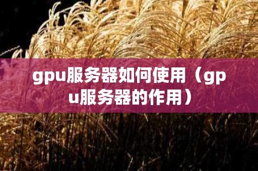 gpu服务器如何使用（gpu服务器的作用）