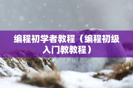 编程初学者教程（编程初级入门教教程）