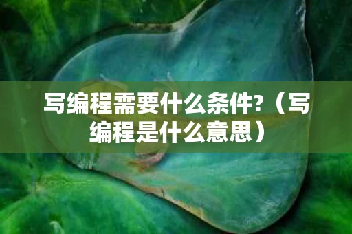写编程需要什么条件?（写编程是什么意思）