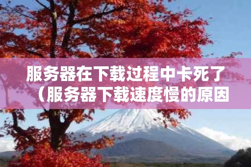 服务器在下载过程中卡死了（服务器下载速度慢的原因）