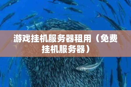 游戏挂机服务器租用（免费挂机服务器）