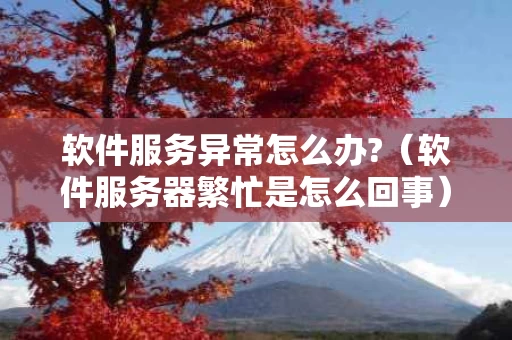 软件服务异常怎么办?（软件服务器繁忙是怎么回事）
