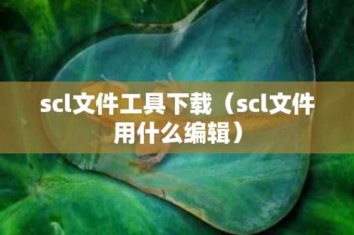 scl文件工具下载（scl文件用什么编辑）