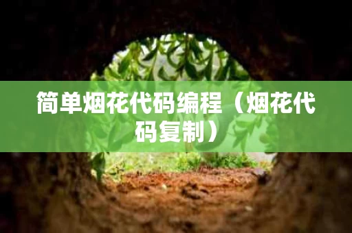 简单烟花代码编程（烟花代码复制）