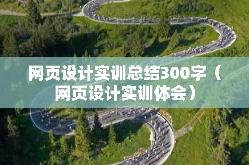 网页设计实训总结300字（网页设计实训体会）