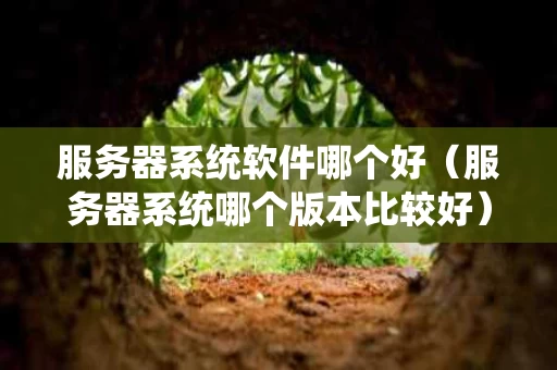 服务器系统软件哪个好（服务器系统哪个版本比较好）