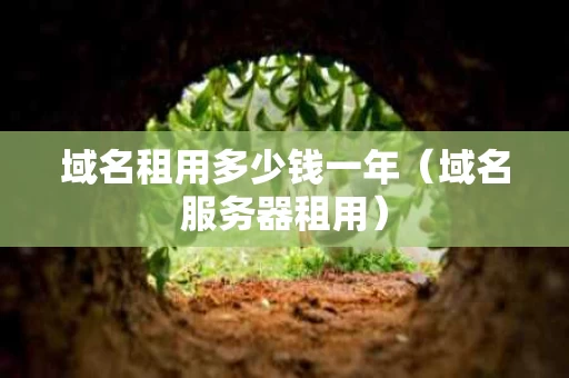 域名租用多少钱一年（域名服务器租用）