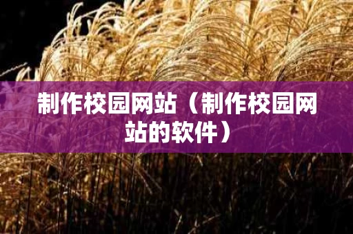 制作校园网站（制作校园网站的软件）