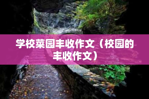 学校菜园丰收作文（校园的丰收作文）