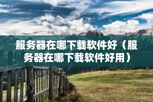 服务器在哪下载软件好（服务器在哪下载软件好用）