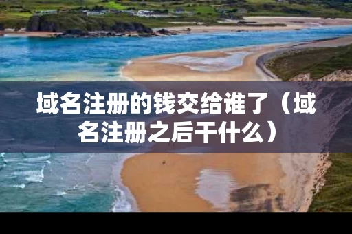 域名注册的钱交给谁了（域名注册之后干什么）