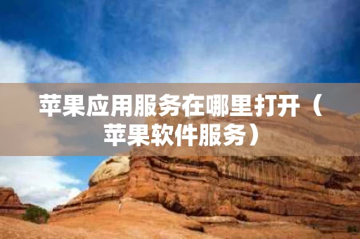苹果应用服务在哪里打开（苹果软件服务）