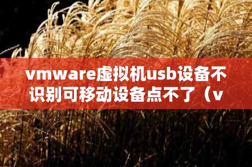 vmware虚拟机usb设备不识别可移动设备点不了（vm虚拟机无法识别usb30）