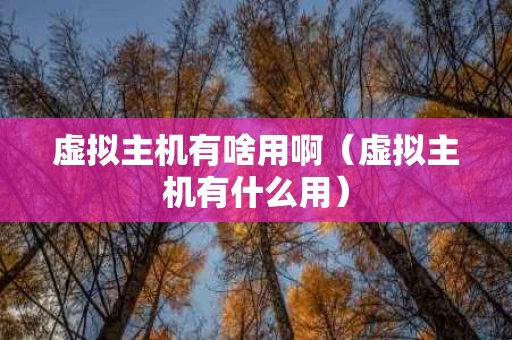 虚拟主机有啥用啊（虚拟主机有什么用）