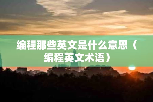 编程那些英文是什么意思（编程英文术语）