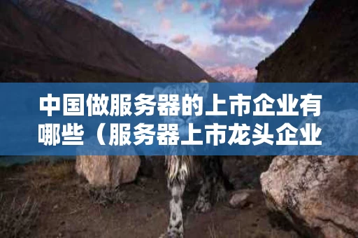 中国做服务器的上市企业有哪些（服务器上市龙头企业）