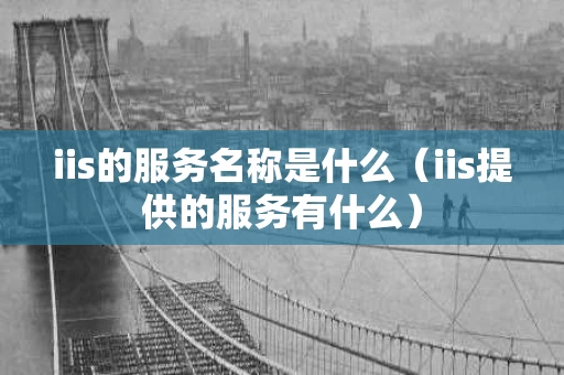 iis的服务名称是什么（iis提供的服务有什么）