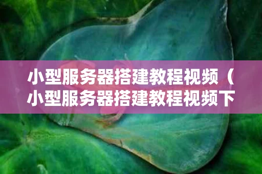 小型服务器搭建教程视频（小型服务器搭建教程视频下载）