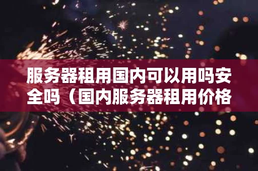 服务器租用国内可以用吗安全吗（国内服务器租用价格表）