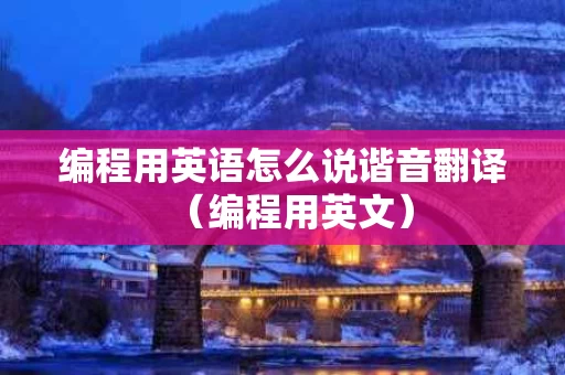 编程用英语怎么说谐音翻译（编程用英文）