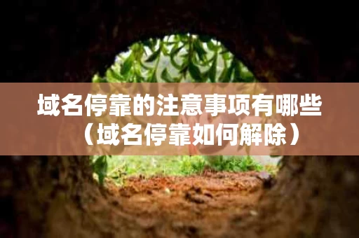 域名停靠的注意事项有哪些（域名停靠如何解除）