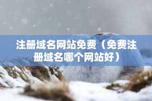 注册域名网站免费（免费注册域名哪个网站好）