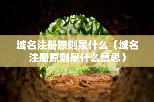域名注册原则是什么（域名注册原则是什么意思）