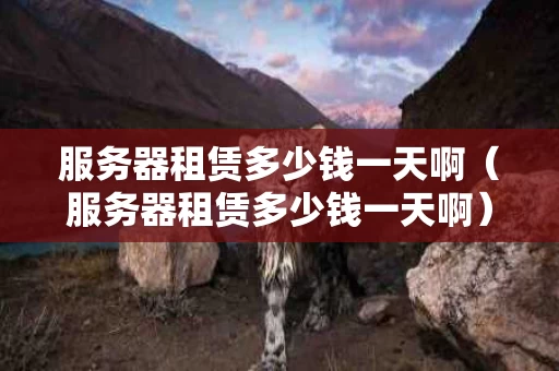 服务器租赁多少钱一天啊（服务器租赁多少钱一天啊）