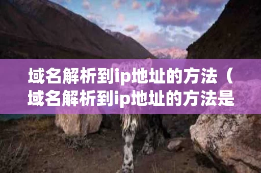 域名解析到ip地址的方法（域名解析到ip地址的方法是）