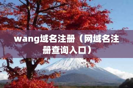 wang域名注册（网域名注册查询入口）