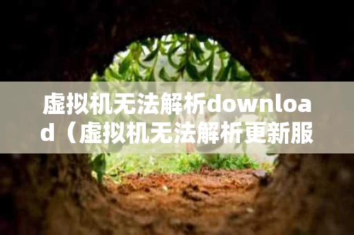 虚拟机无法解析download（虚拟机无法解析更新服务器）