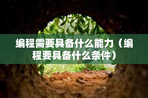 编程需要具备什么能力（编程要具备什么条件）