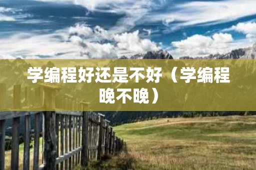 学编程好还是不好（学编程晚不晚）