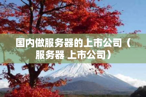 国内做服务器的上市公司（服务器 上市公司）