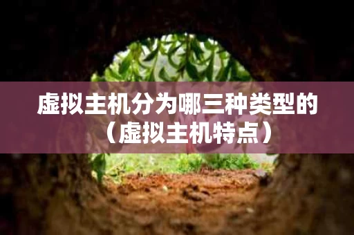 虚拟主机分为哪三种类型的（虚拟主机特点）