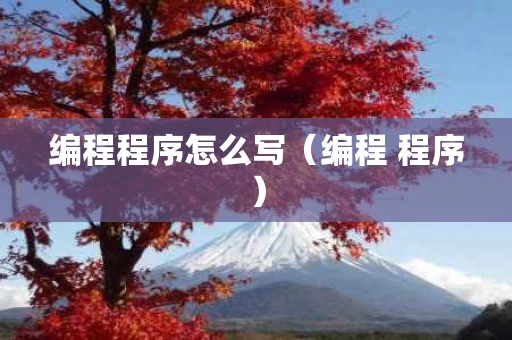 编程程序怎么写（编程 程序）