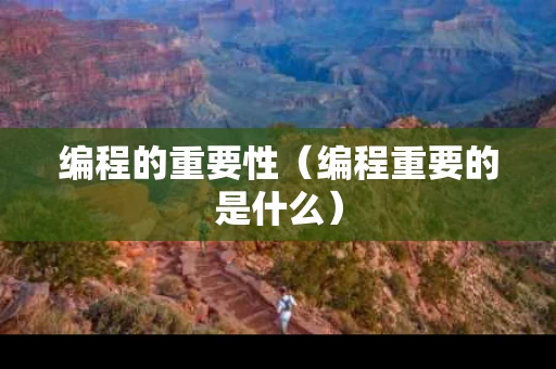 编程的重要性（编程重要的是什么）