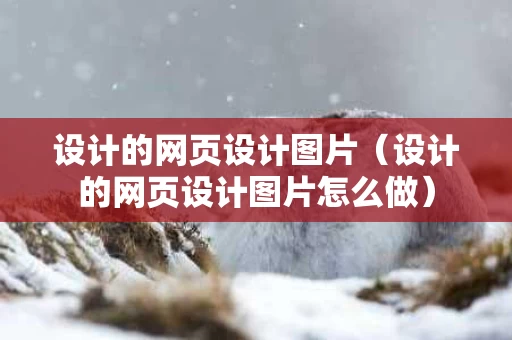 设计的网页设计图片（设计的网页设计图片怎么做）