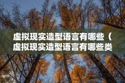 虚拟现实造型语言有哪些（虚拟现实造型语言有哪些类型）