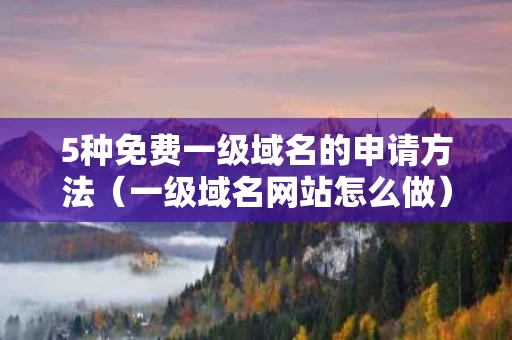 5种免费一级域名的申请方法（一级域名网站怎么做）