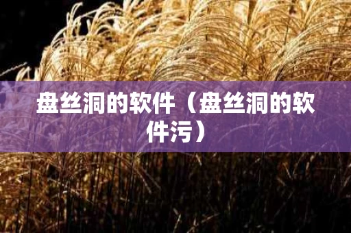 盘丝洞的软件（盘丝洞的软件污）