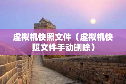 虚拟机快照文件（虚拟机快照文件手动删除）