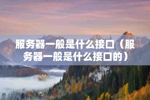 服务器一般是什么接口（服务器一般是什么接口的）