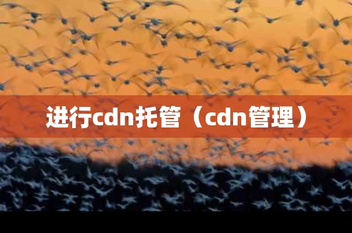 进行cdn托管（cdn管理）