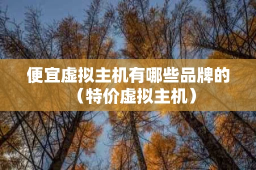 便宜虚拟主机有哪些品牌的（特价虚拟主机）