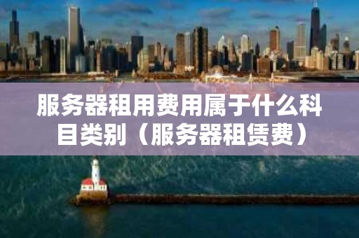 服务器租用费用属于什么科目类别（服务器租赁费）