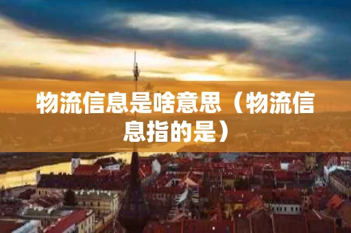 物流信息是啥意思（物流信息指的是）