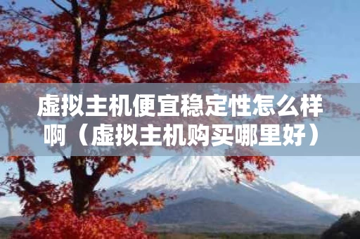 虚拟主机便宜稳定性怎么样啊（虚拟主机购买哪里好）