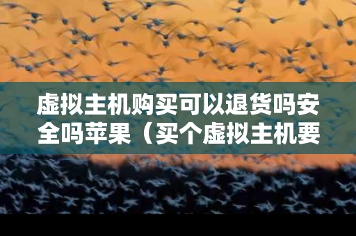 虚拟主机购买可以退货吗安全吗苹果（买个虚拟主机要多少钱）