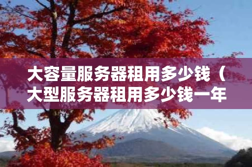 大容量服务器租用多少钱（大型服务器租用多少钱一年）